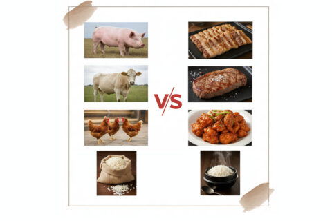 Animais vs. Alimento em coreano