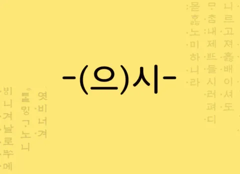 Forma honorífica na conjugação